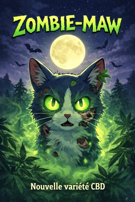 Zombie-Maw fleur CBD française – serre du Sud de la France | Minoumaw’s CBD